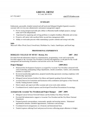 Skill Based Resume Sandle...