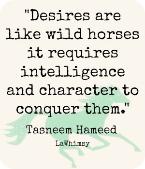 ... persistence and dedication it takes to tame a wild horse can be