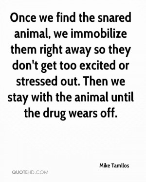Once We Find The Snared Animal, We Immoblize Them Right Away So They ...