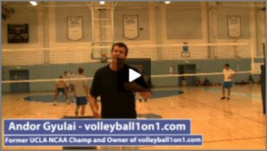 Volleyball1on1