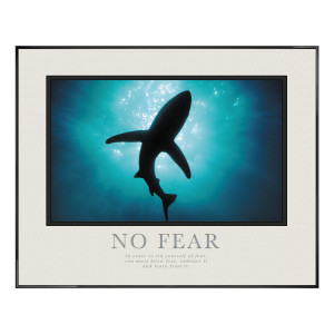 No Fear Shark Motivational Poster (710046)