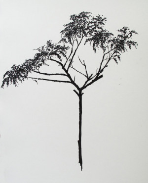 Tree Sketches Johor Bahru