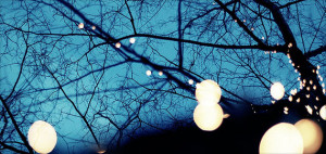 Car & Home Insurance Commercial Insurance Life insurance