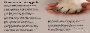 4111-rescue-angels.jpg