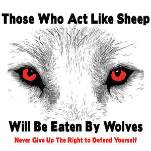 Clothing, Shoes & Accessories > Unisex Clothing, Shoes & Accs > Unisex ...