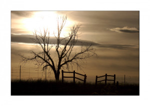 Condolence and Sympathy Letters Examples