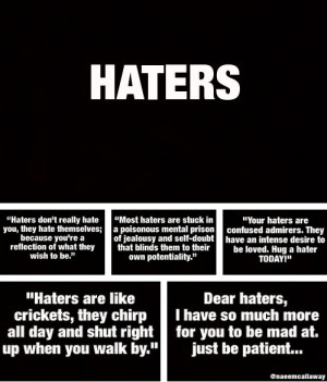 ... that person mean quotes to haters mean quotes to haters and haters