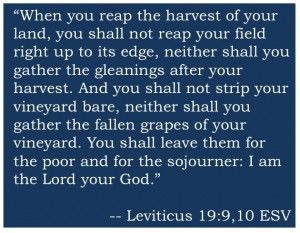 Leviticus 19:9-10, ESV- Boaz followed this command from the Lord ...
