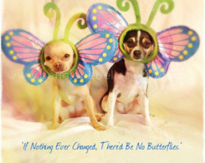 Dog Card, Chihuahua Support Card, S weet Encouragement Card, Divorce ...