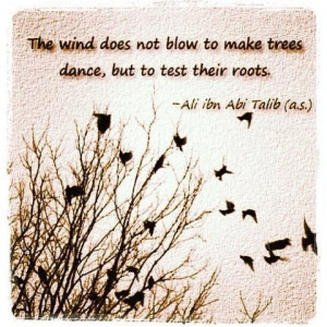 ... to test their roots”[Ali RA]Is this a quote that you can relate to