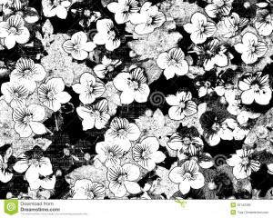 Floral Border Black And White