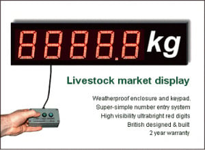 Livestock and cattle market weight or value display
