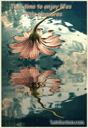 Water Reflections Images, Quotes, Comments, Graphics