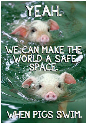 Baby Pigs Swimming When pigs swim.]