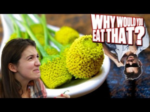 Why Would You Eat That? - Buzz Buttons