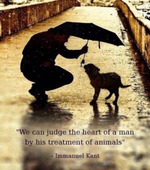 Animals Quotes & Sayings