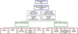 Bureaucracy Structure Structure of ibama for the