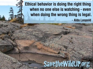 Environmental Ethics Aldo Leopold Quote