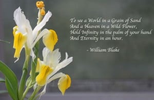 So beautiful.... William Blake