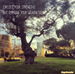 Exploit your strengths but improve your weaknesses