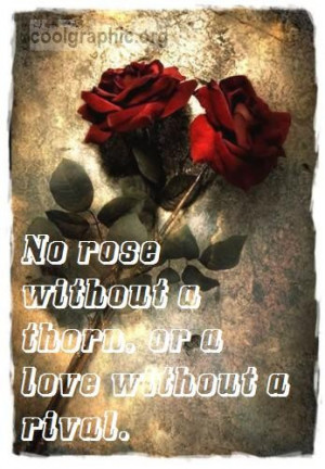 rose thorn love quote girl