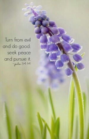 Found on Uploaded by user