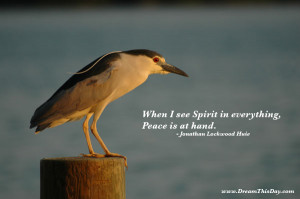 When I see Spirit in everything, Peace is at hand.
