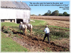 ... row you focus on the furrow or previous row as you continue plowing