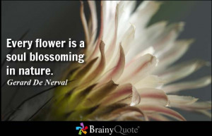Flower Quotes