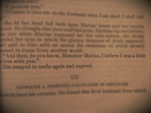 know monsieur marius i believe i was a little in love with you quotes ...