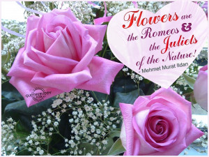 Related Pictures flowers mint wallpaper anything purple flowers mint ...