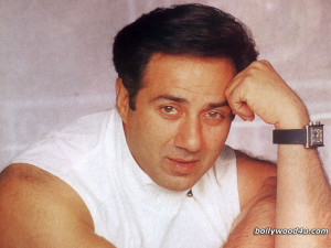 SuNnY dEoL wAlLpApErS