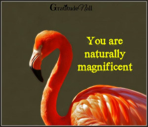 You are naturally magnificent! #Quotes