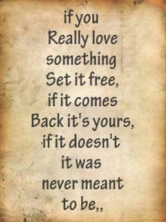 more quotes pictures under love quotes html code for picture