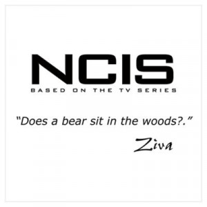 ... > Wall Art > Posters > NCIS Ziva David Bear Quote Wall Art Poster