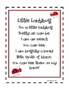 Ladybug Poetry And Songs
