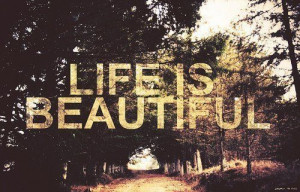 Life Is Beautiful Beauty Quotes