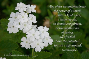 Too often we underestimate the power of a touch, a smile, a kind word ...