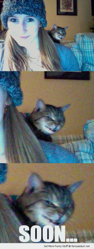 evil cat photo bomb soon animal funny pics pictures pic picture image ...