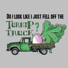 turnip truck: Metaphorical vehicle bringing rubes to Gotham. One who ...