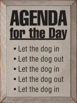 AGENDA for the day: Let the dog...