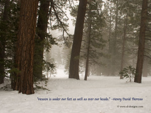 Nature Quote on a wallpaper