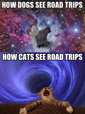 road-trips-dogs-and-cats-funny-meme
