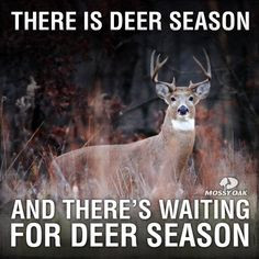 There are two seasons: deer season and waiting-for-deer season.