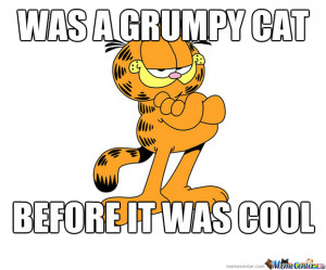 The Original Grumpy Garfield Cat