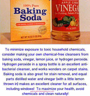Replace Toxic Chemical Household Chemical With Natural Cleansers