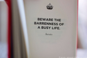 Beware The Barrenness of a Busy Life ~ Books Quote