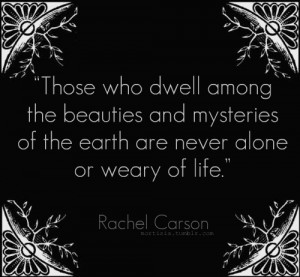 Those who dwell among the beauties and mysteries of the earth are ...