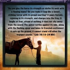 job 39 19 24 more hors bible vers bible verses job 391924