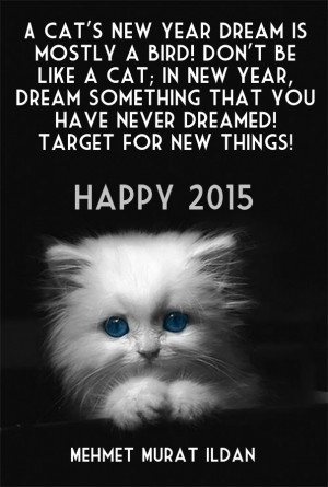 new year dream is mostly a bird! don’t be like a cat; in new year ...